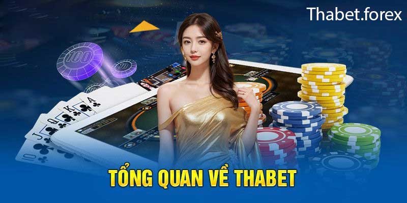 Giới thiệu chi tiết về Thabet