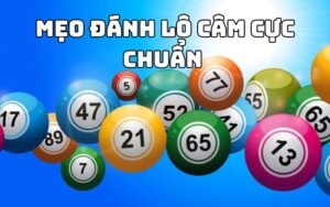 Lô câm là gì? Đầu câm nên đánh con gì để thắng cược?