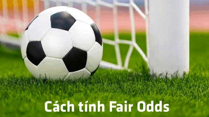 Những cách tính fair odds mới nhất 2024